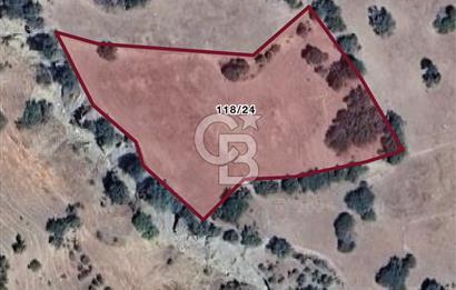 SİNOP DURAĞAN DERELİ KÖYÜ'NDE SATILIK TARLA | 5.538 m² | FIRSAT