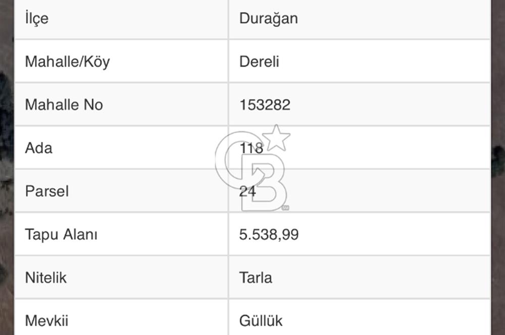 SİNOP DURAĞAN DERELİ KÖYÜ'NDE SATILIK TARLA | 5.538 m² | FIRSAT