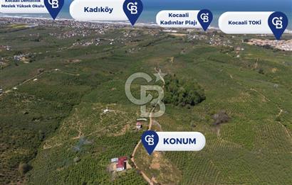 CB ENVOY Sakarya Kocaali'de Satılık Deniz Manzaralı 977 m2 Arsa