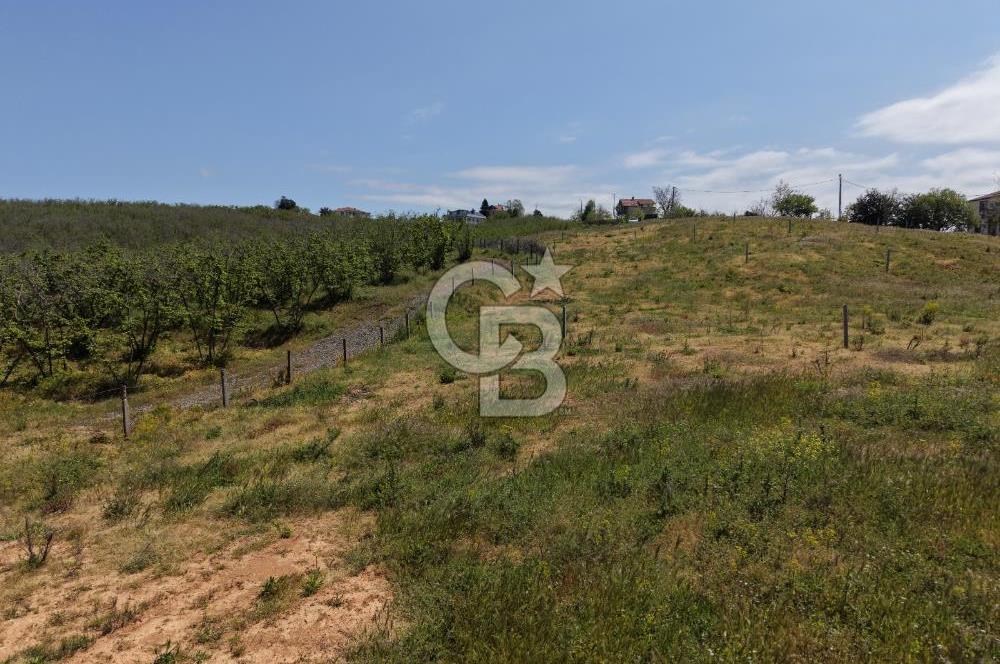 CB ENVOY Sakarya Kocaali'de Satılık Deniz Manzaralı 996 m2 Arsa