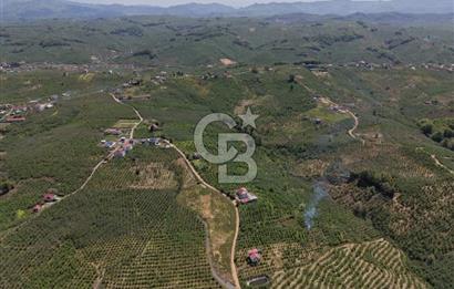 CB ENVOY Sakarya Kocaali'de Satılık Deniz Manzaralı 977 m2 Arsa