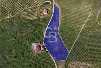 CB ENVOY Sakarya Kocaali'de Satılık Deniz Manzaralı 977 m2 Arsa - 7 - 352416