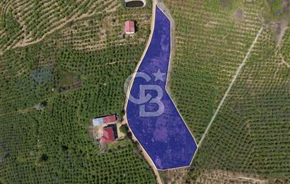 CB ENVOY Sakarya Kocaali'de Satılık Deniz Manzaralı 977 m2 Arsa