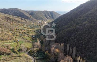Uçmakdere 3 Adet Özel Bungolov Dağ Evi Doğa ile iç içe