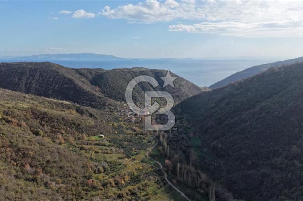 Uçmakdere 3 Adet Özel Bungolov Dağ Evi Doğa ile iç içe