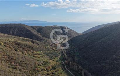 Uçmakdere 3 Adet Özel Bungolov Dağ Evi Doğa ile iç içe