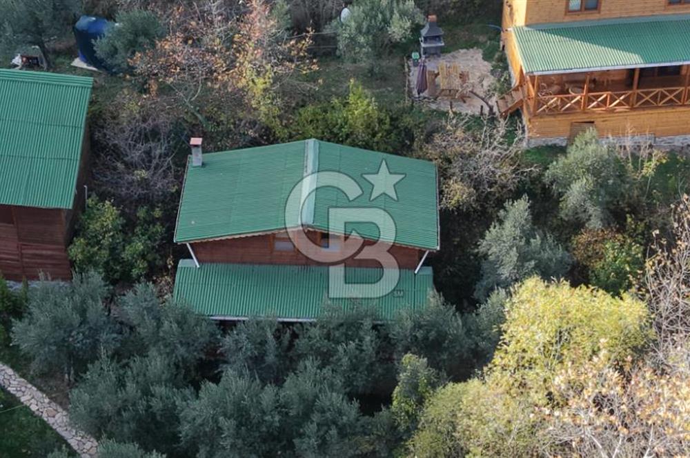 Uçmakdere 3 Adet Özel Bungolov Dağ Evi Doğa ile iç içe