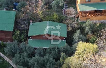 Uçmakdere 3 Adet Özel Bungolov Dağ Evi Doğa ile iç içe