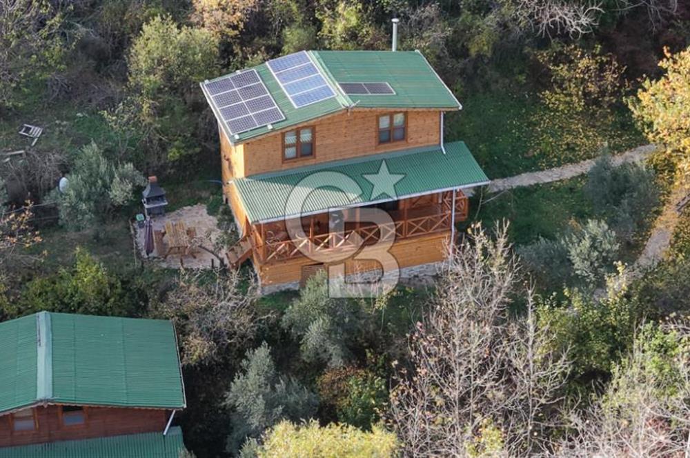 Uçmakdere 3 Adet Özel Bungolov Dağ Evi Doğa ile iç içe
