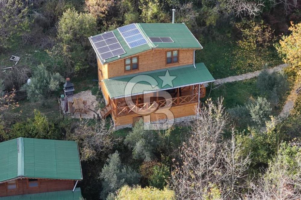 Uçmakdere 3 Adet Özel Bungolov Dağ Evi Doğa ile iç içe