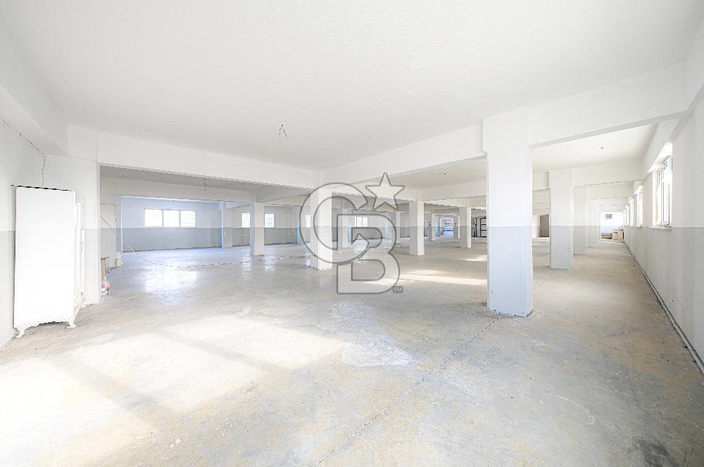 6250 m2 Kiralık Kompleks Bina Depolar Ofisler ve İmalathane