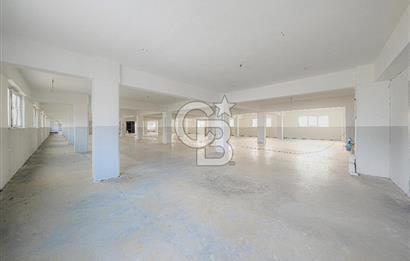 6250 m2 Kiralık Kompleks Bina Depolar Ofisler ve İmalathane