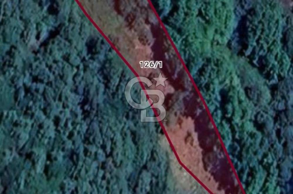 Bayındır lütuflarda 1366 m2 satılık arazi