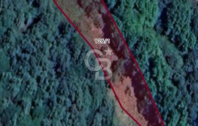 Bayındır lütuflarda 1366 m2 satılık arazi
