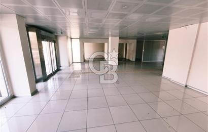 Natoyolu Üzerinde Banka Altyapılı 460 m2 Kiralık Dükkan / Mağaza