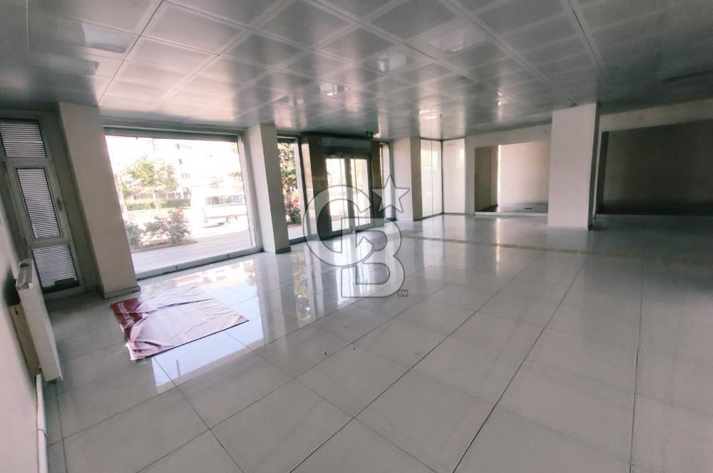 Natoyolu Üzerinde Banka Altyapılı 460 m2 Kiralık Dükkan / Mağaza