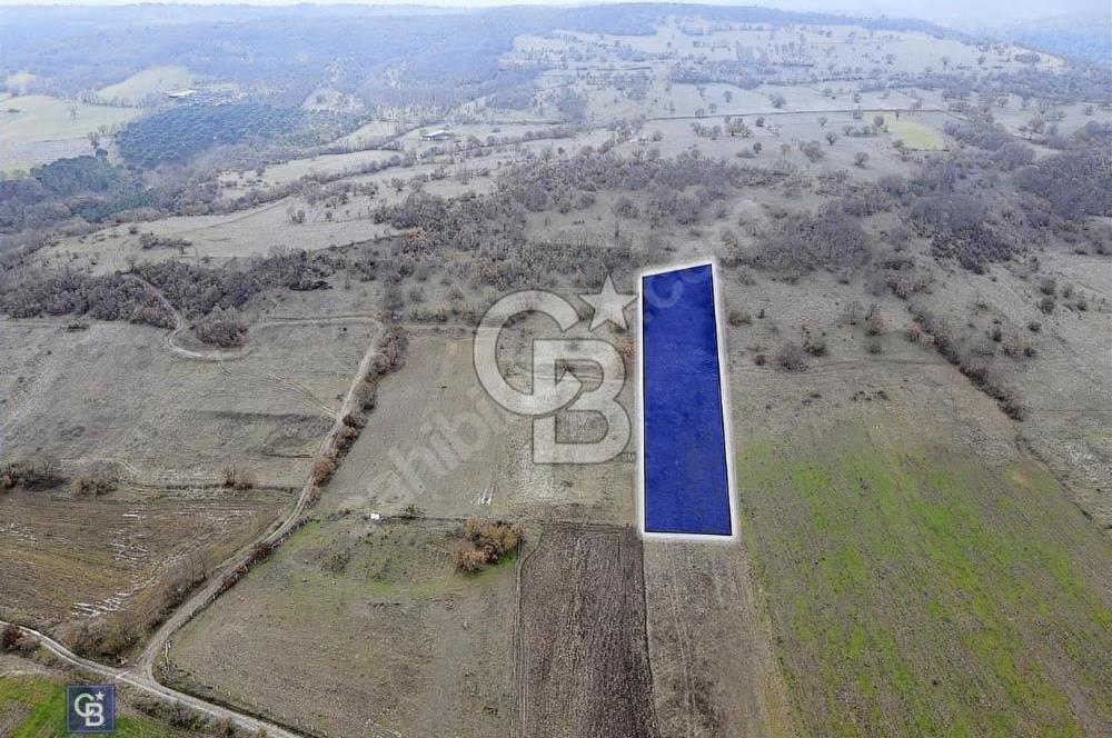 CB EAGLE'DAN GÖKÇEYAZI'DA EDREMİT YOLU YAKINI SATILIK TARLA