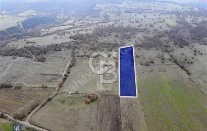 CB EAGLE'DAN GÖKÇEYAZI'DA EDREMİT YOLU YAKINI SATILIK TARLA