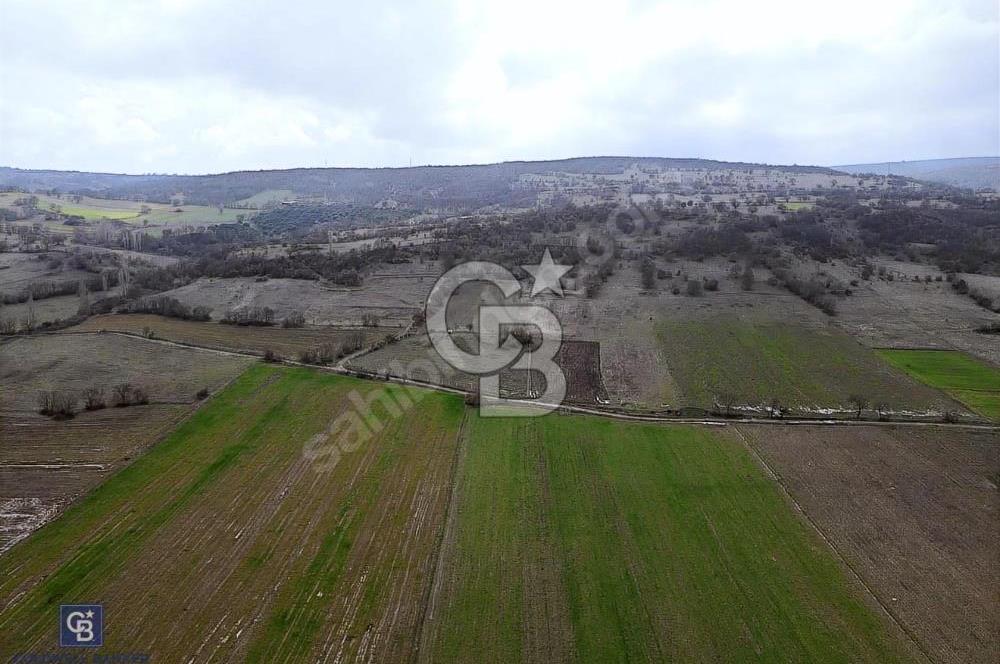 CB EAGLE'DAN GÖKÇEYAZI'DA EDREMİT YOLU YAKINI SATILIK TARLA