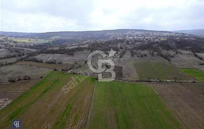 CB EAGLE'DAN GÖKÇEYAZI'DA EDREMİT YOLU YAKINI SATILIK TARLA