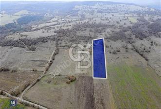 CB EAGLE'DAN GÖKÇEYAZI'DA EDREMİT YOLU YAKINI SATILIK TARLA - 12 - 352452