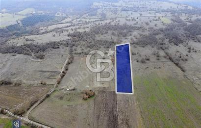 CB EAGLE'DAN GÖKÇEYAZI'DA EDREMİT YOLU YAKINI SATILIK TARLA