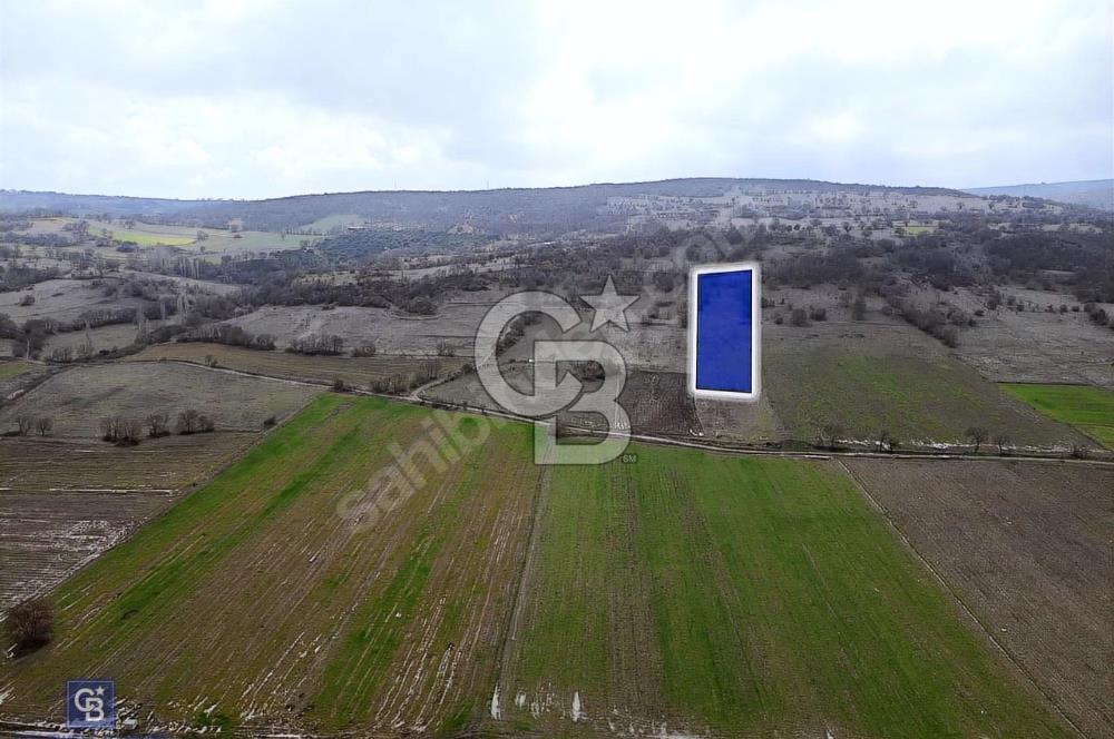 CB EAGLE'DAN GÖKÇEYAZI'DA EDREMİT YOLU YAKINI SATILIK TARLA