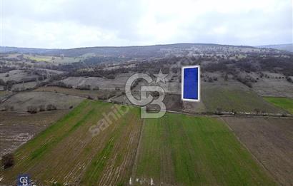 CB EAGLE'DAN GÖKÇEYAZI'DA EDREMİT YOLU YAKINI SATILIK TARLA