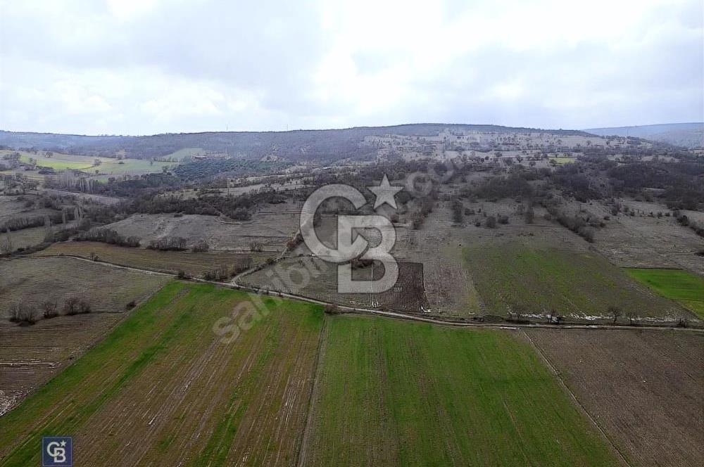 CB EAGLE'DAN GÖKÇEYAZI'DA EDREMİT YOLU YAKINI SATILIK TARLA
