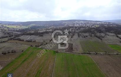 CB EAGLE'DAN GÖKÇEYAZI'DA EDREMİT YOLU YAKINI SATILIK TARLA