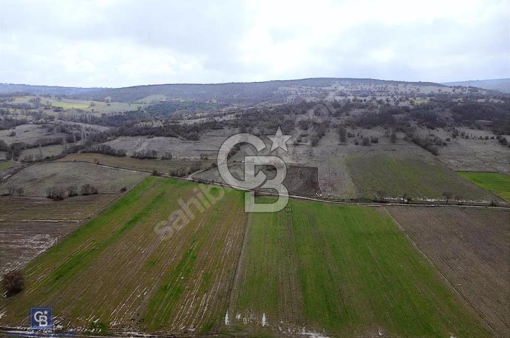 CB EAGLE'DAN GÖKÇEYAZI'DA EDREMİT YOLU YAKINI SATILIK TARLA