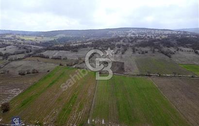 CB EAGLE'DAN GÖKÇEYAZI'DA EDREMİT YOLU YAKINI SATILIK TARLA