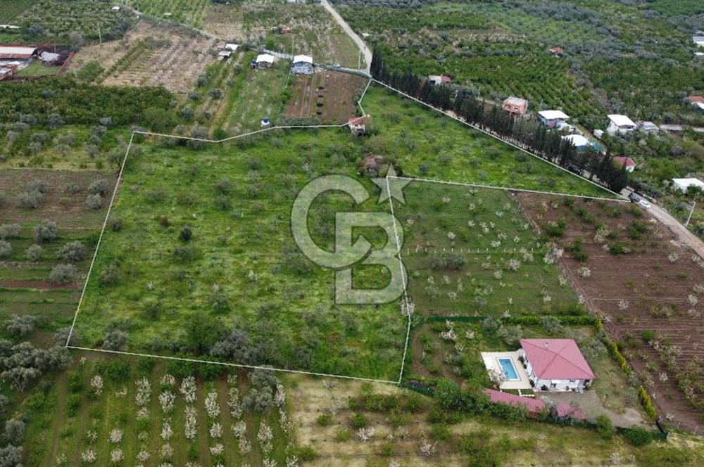 kemalpaşa yola cephe tek parça içinde numaratajları bulunan emsalsiz bağ 
