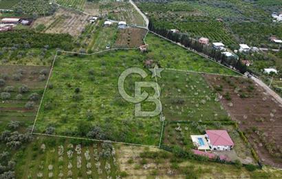 kemalpaşa yola cephe tek parça içinde numaratajları bulunan emsalsiz bağ 