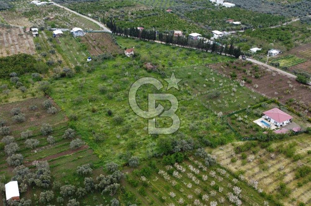 kemalpaşa yola cephe tek parça içinde numaratajları bulunan emsalsiz bağ 