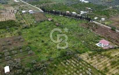 kemalpaşa yola cephe tek parça içinde numaratajları bulunan emsalsiz bağ 