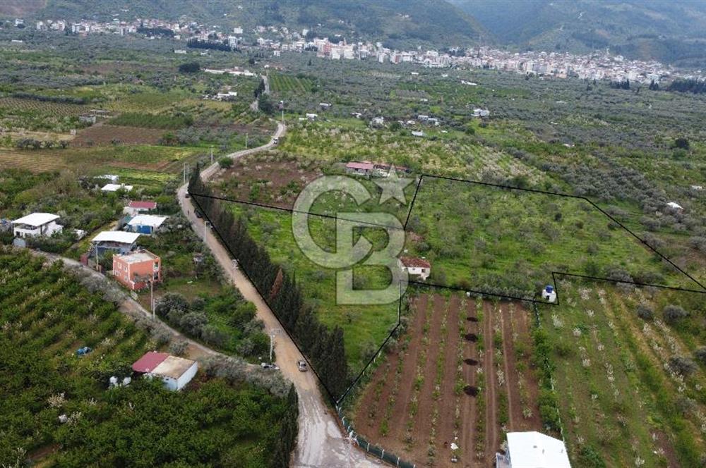 kemalpaşa yola cephe tek parça içinde numaratajları bulunan emsalsiz bağ 