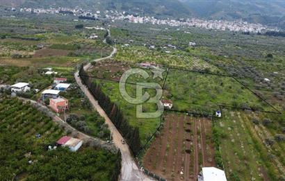 kemalpaşa yola cephe tek parça içinde numaratajları bulunan emsalsiz bağ 