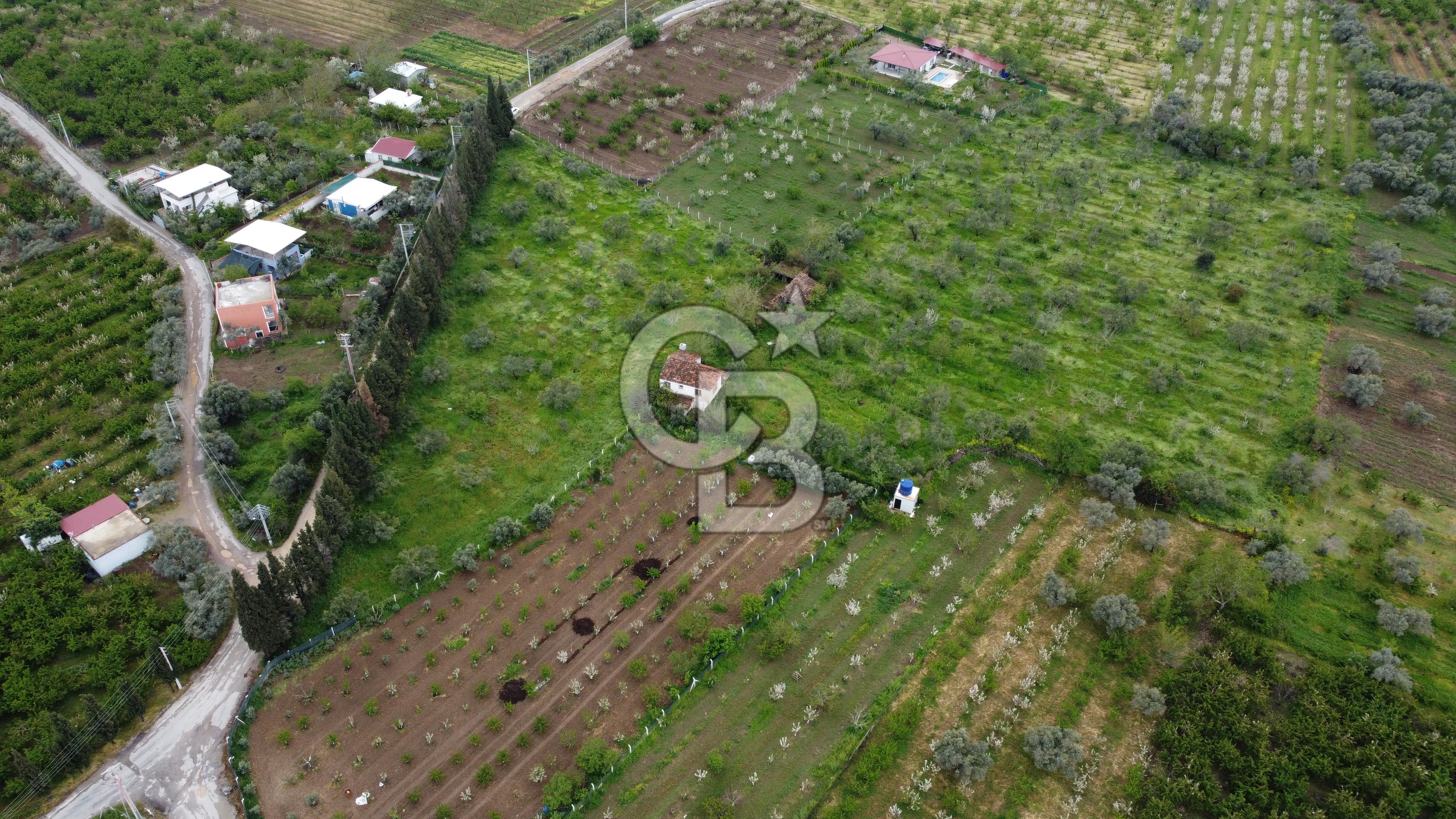 kemalpaşa yola cephe tek parça içinde numaratajları bulunan emsalsiz bağ 