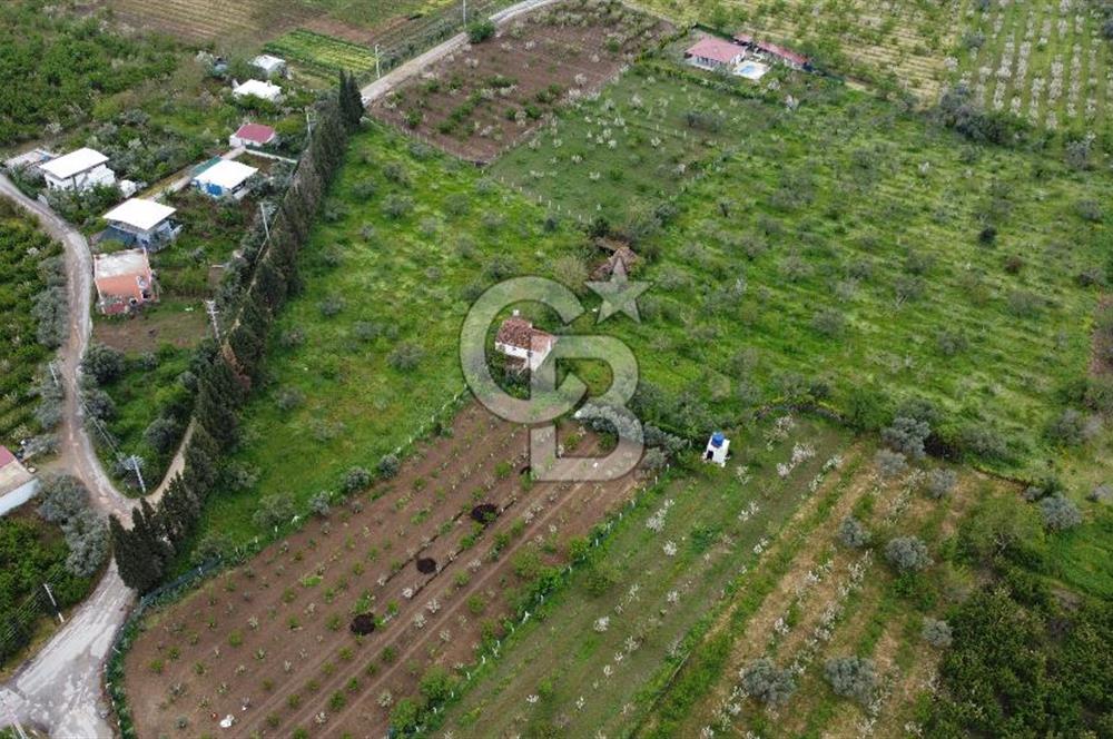 kemalpaşa yola cephe tek parça içinde numaratajları bulunan emsalsiz bağ 