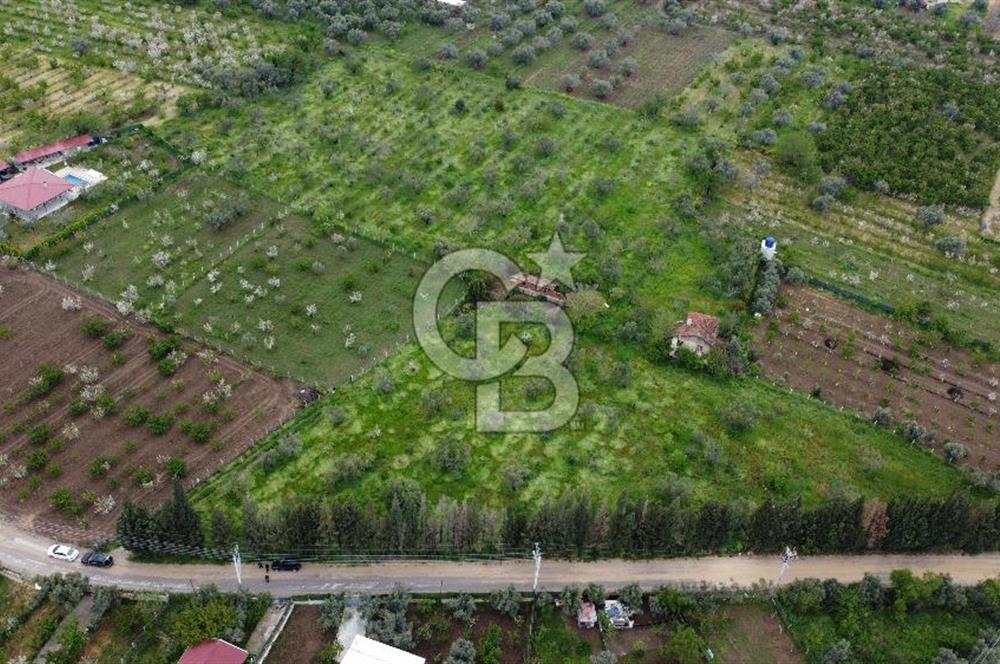 kemalpaşa yola cephe tek parça içinde numaratajları bulunan emsalsiz bağ 