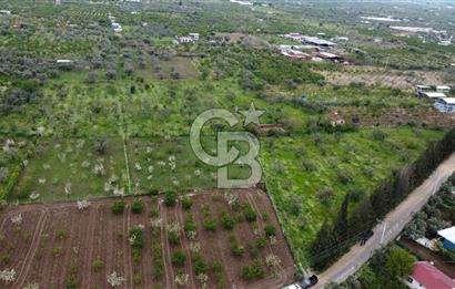 kemalpaşa yola cephe tek parça içinde numaratajları bulunan emsalsiz bağ 