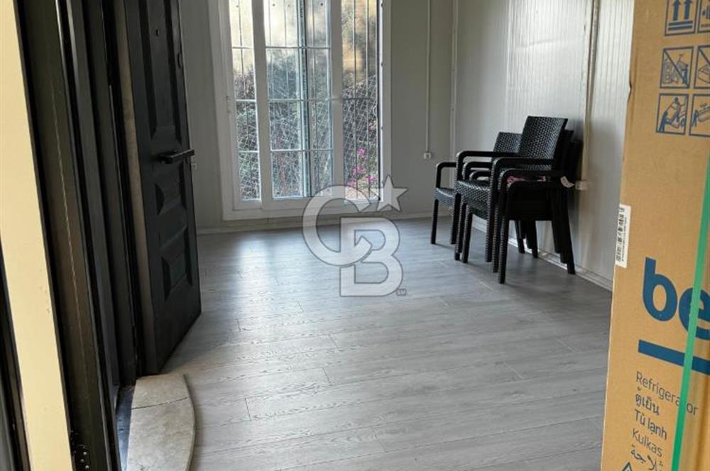 Seferihisar Beyler Köyün de Müstakil Tapulu Zeytinlik