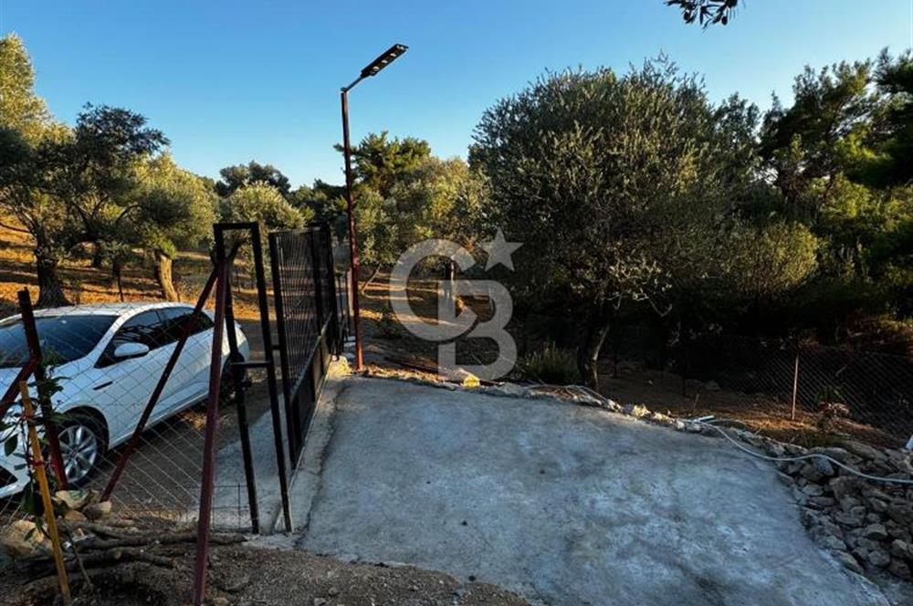 Seferihisar Beyler Köyün de Müstakil Tapulu Zeytinlik