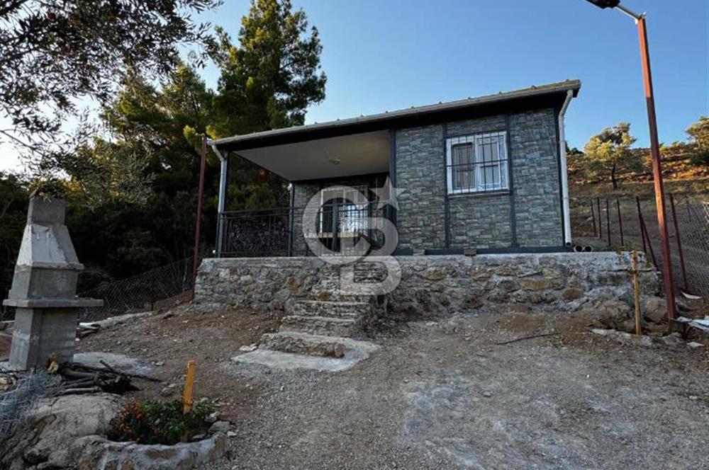 Seferihisar Beyler Köyün de Müstakil Tapulu Zeytinlik