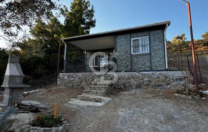 Seferihisar Beyler Köyün de Müstakil Tapulu Zeytinlik