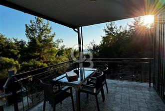 Seferihisar Beyler Köyün de Müstakil Tapulu Zeytinlik - 6 - 352498