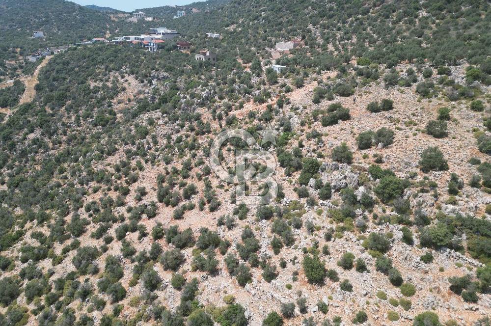 CB GİZ'DEN KAPUTAŞ PLAJI VE ADALAR MANZARALI SATILIK 2B TARLA