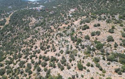 CB GİZ'DEN KAPUTAŞ PLAJI VE ADALAR MANZARALI SATILIK 2B TARLA