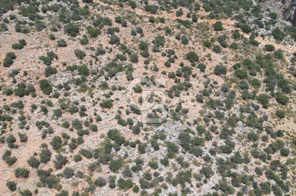CB GİZ'DEN KAPUTAŞ PLAJI VE ADALAR MANZARALI SATILIK 2B TARLA